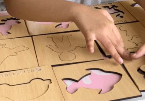 Kids Wooden Drawing Stencils Kit [12 inner +12 Outer] With Puzzle [MF-111]